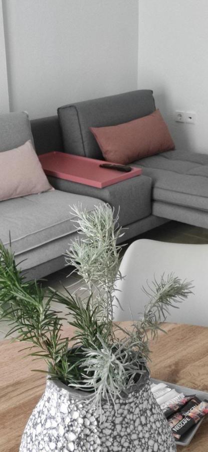 Elena Apartments Olympiada Zewnętrze zdjęcie